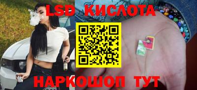 a pvp Новокубанск