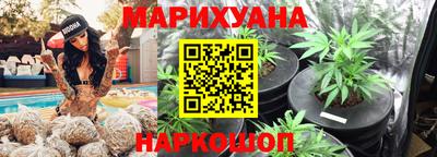 прущий лед Новозыбков