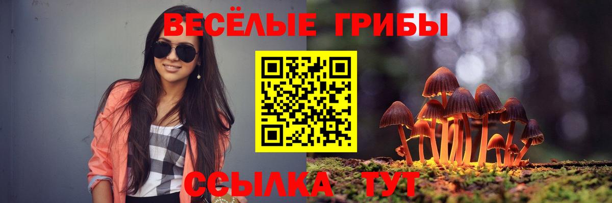 Галлюциногенные грибы GOLDEN TEACHER  цена   Феодосия  Вход с VPN 